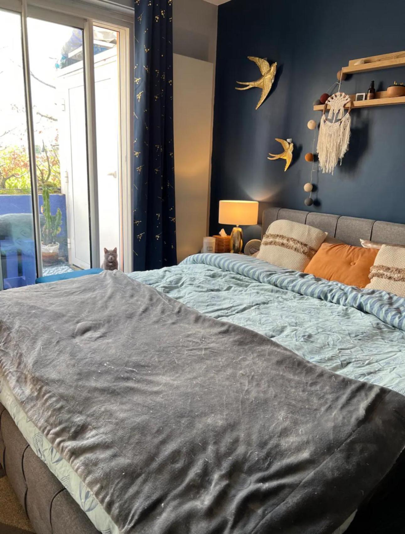 Rooftop Chaleureux Hyper-Centre Apartment Тулуза Екстериор снимка